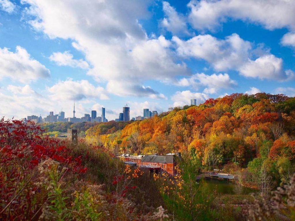 Stylish 1 Bedroom Apartment In Toronto Esterno foto